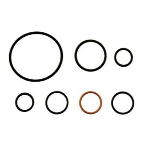 4343000002 P