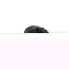 1744793 - Imagem 2